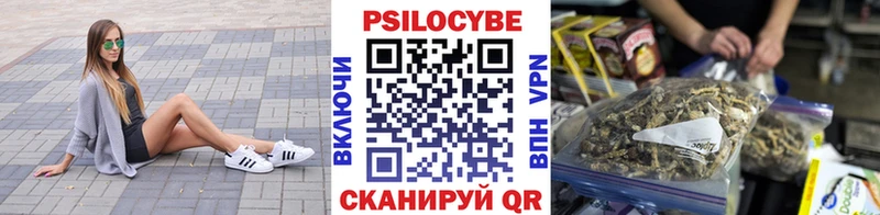 магазин  наркотиков  Усть-Кут  Псилоцибиновые грибы Magic Shrooms 