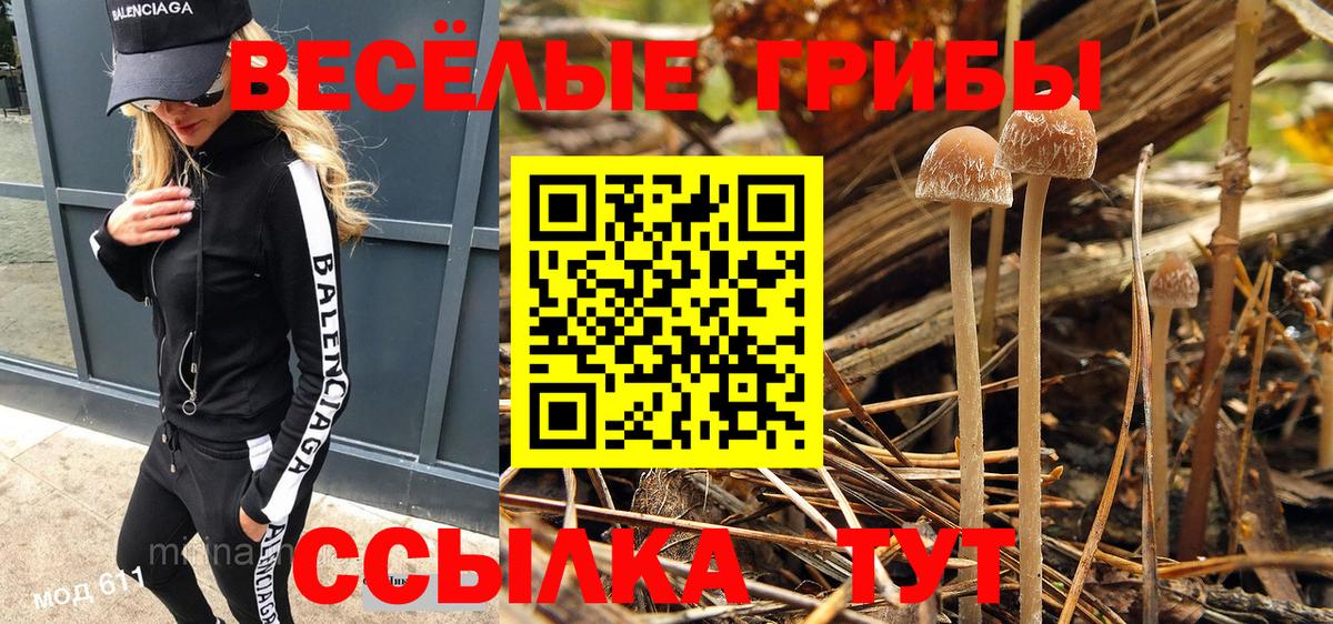Галлюциногенные грибы Psilocybe Усть-Кут